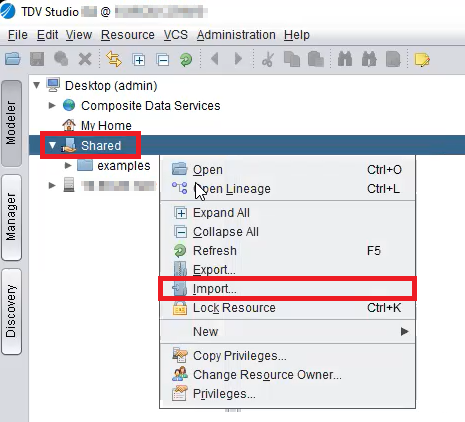 TDV - Import option